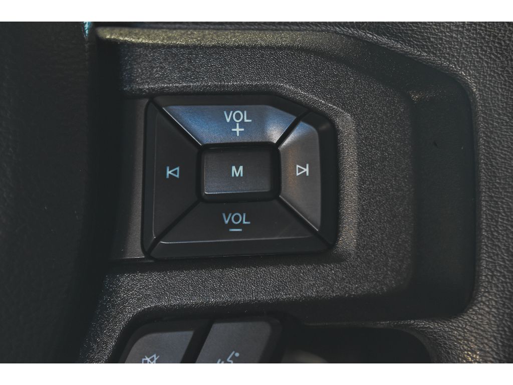 2020 Ford F-150 XL photo 12