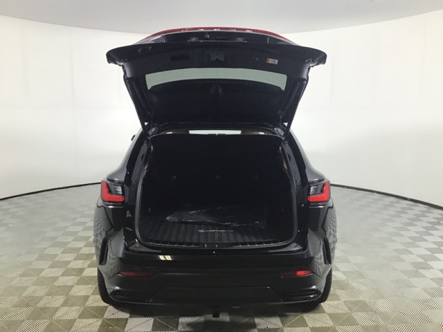 2025 Lexus NX 350h Premium photo 19