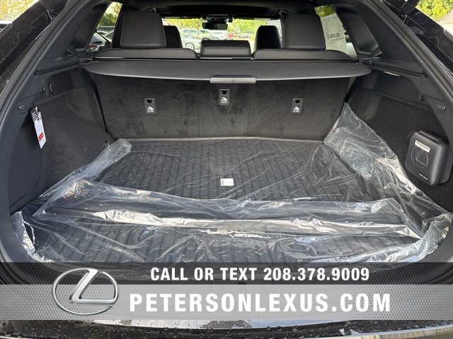 2025 Lexus RX 350 Premium photo 17