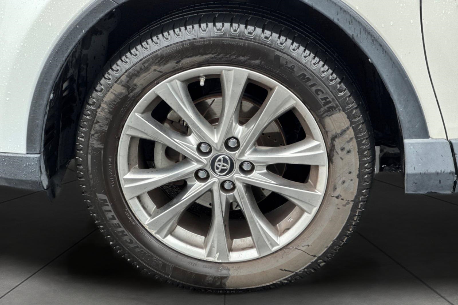 2018 Toyota RAV4 Hybrid Limited photo 8
