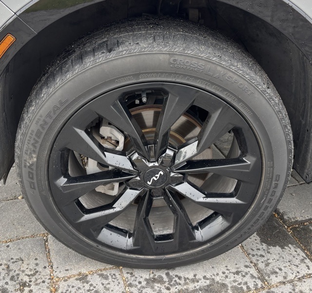 2022 Kia Sorento SX photo 10