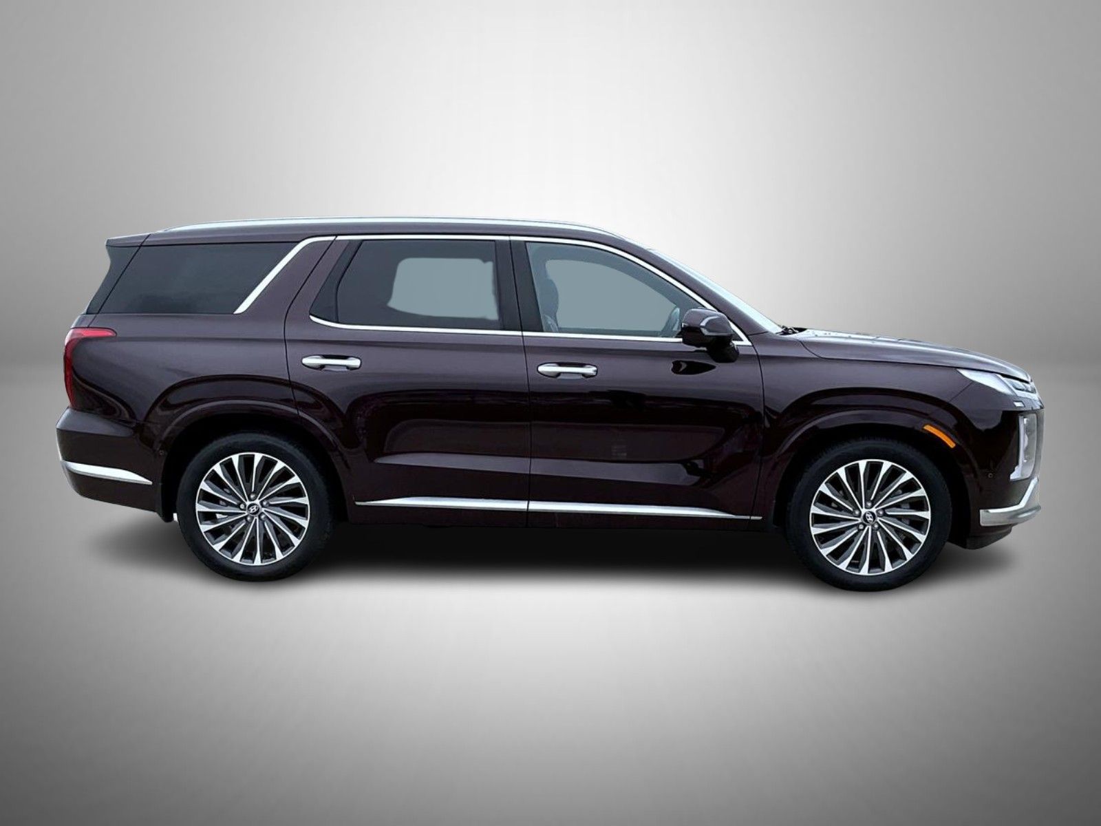 2025 Hyundai Palisade Calligraphy photo 4