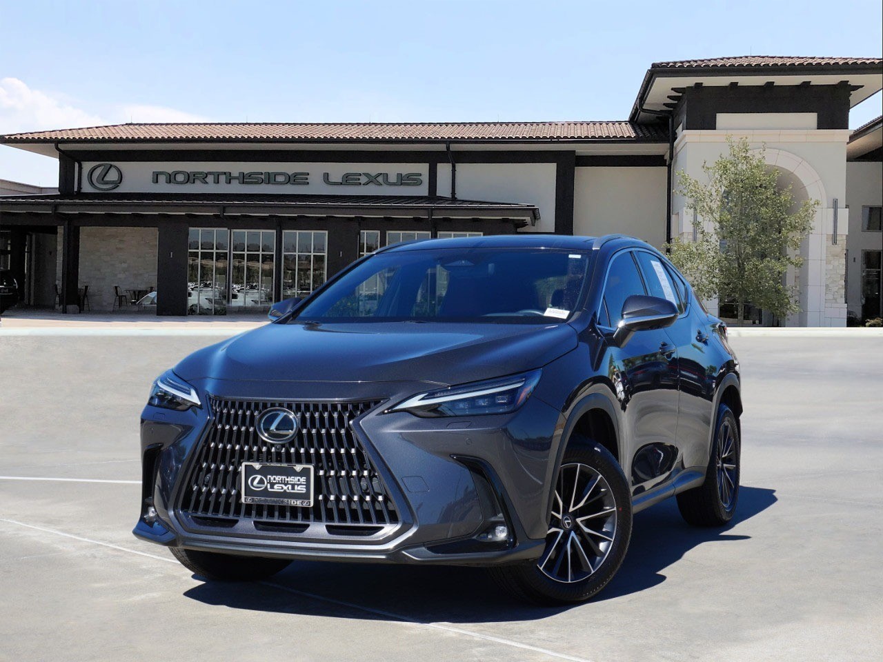 2024 Lexus NX 350's photo