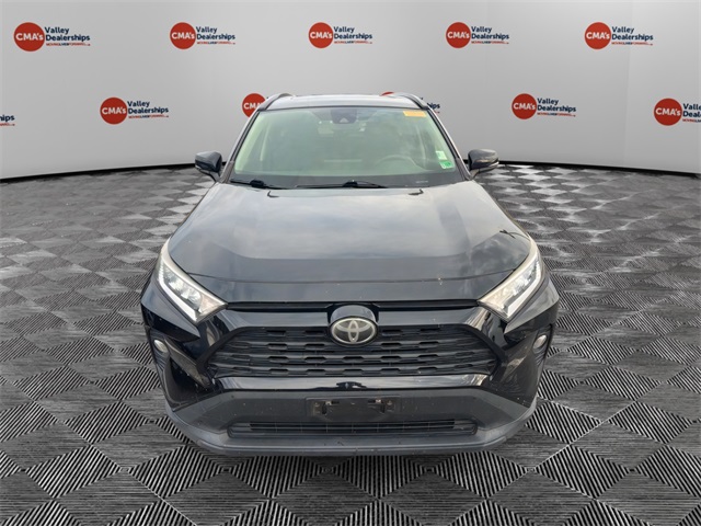2019 Toyota RAV4 XLE photo 7