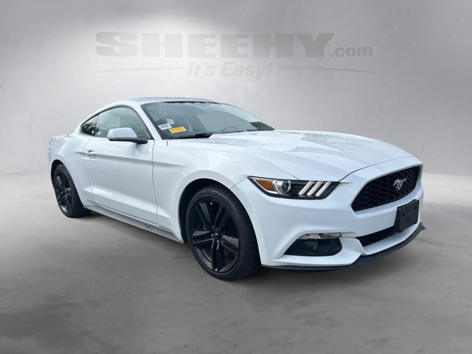 2017 Ford Mustang EcoBoost photo 2