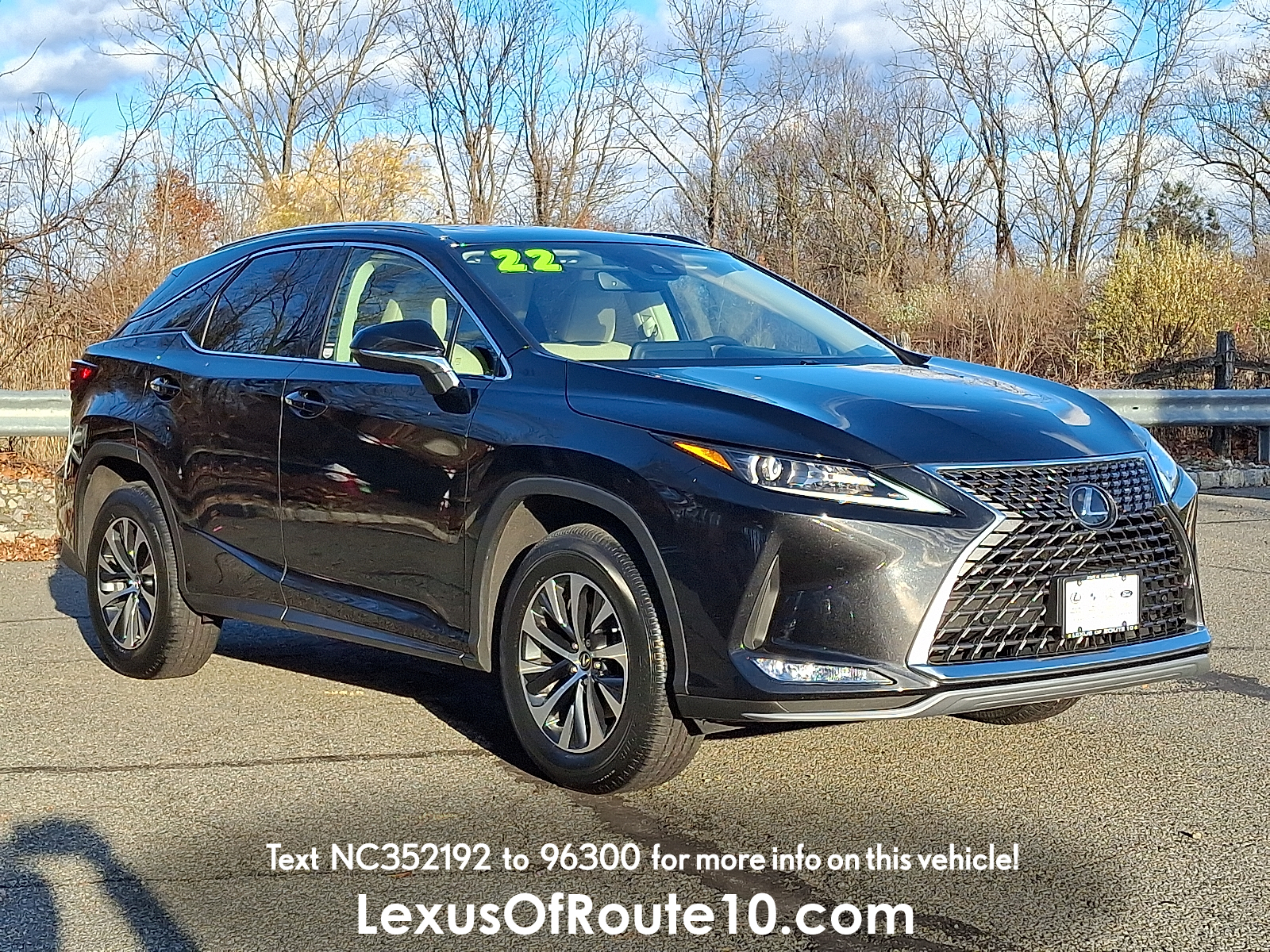 2022 Lexus RX 350's photo