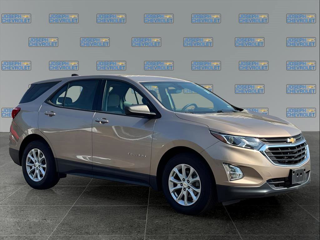 2019 Chevrolet Equinox LS photo 3