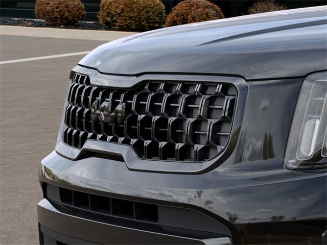 2025 Kia Telluride EX X-Line photo 6