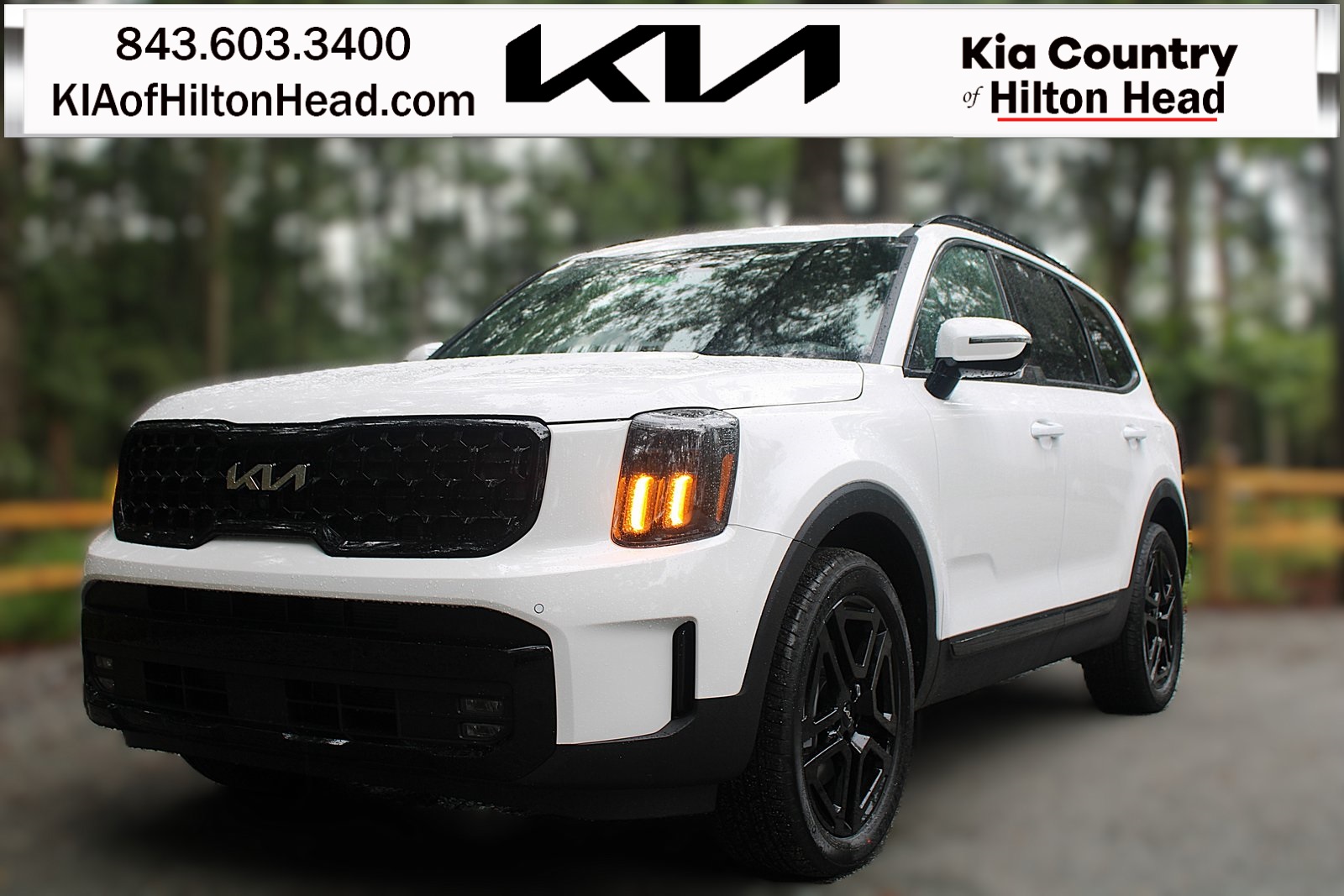2025 Kia Telluride SX Prestige X-Line's photo