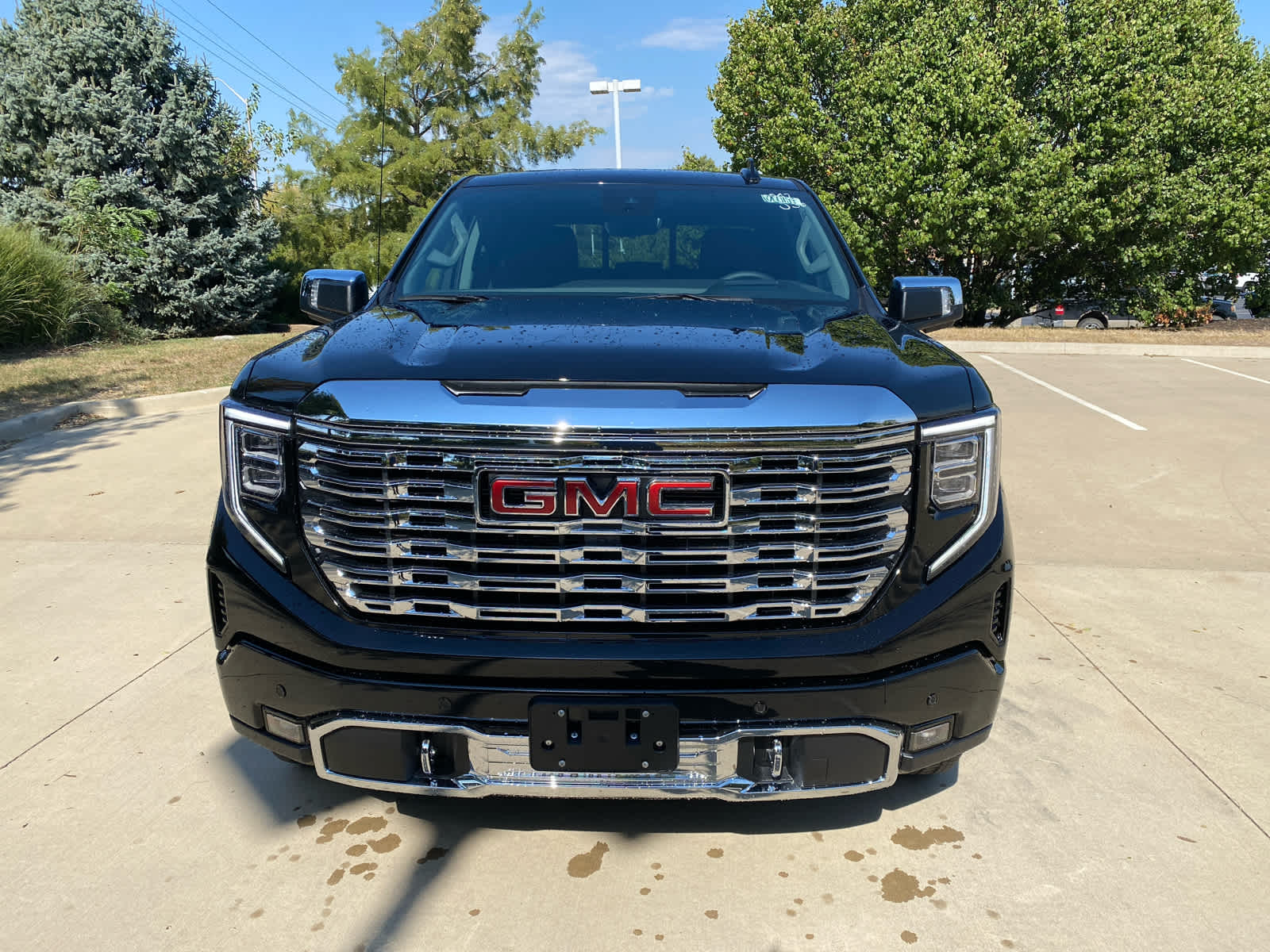2026 Gmc Sierra 1500 Denali photo 3