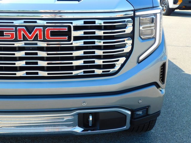 2024 Gmc Sierra 1500 Denali photo 13