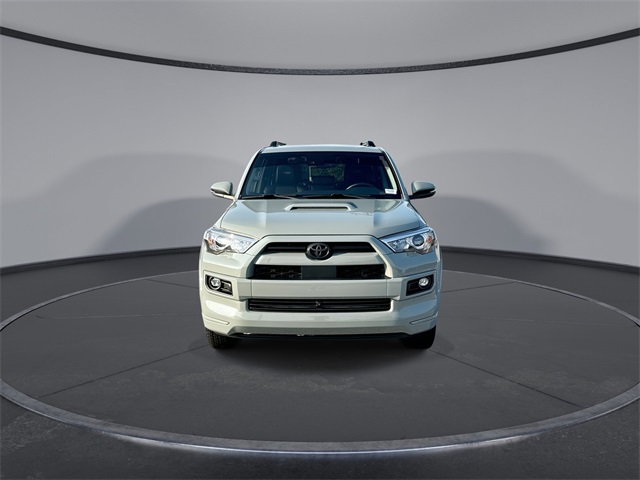 2022 Toyota 4Runner TRD Sport photo 3