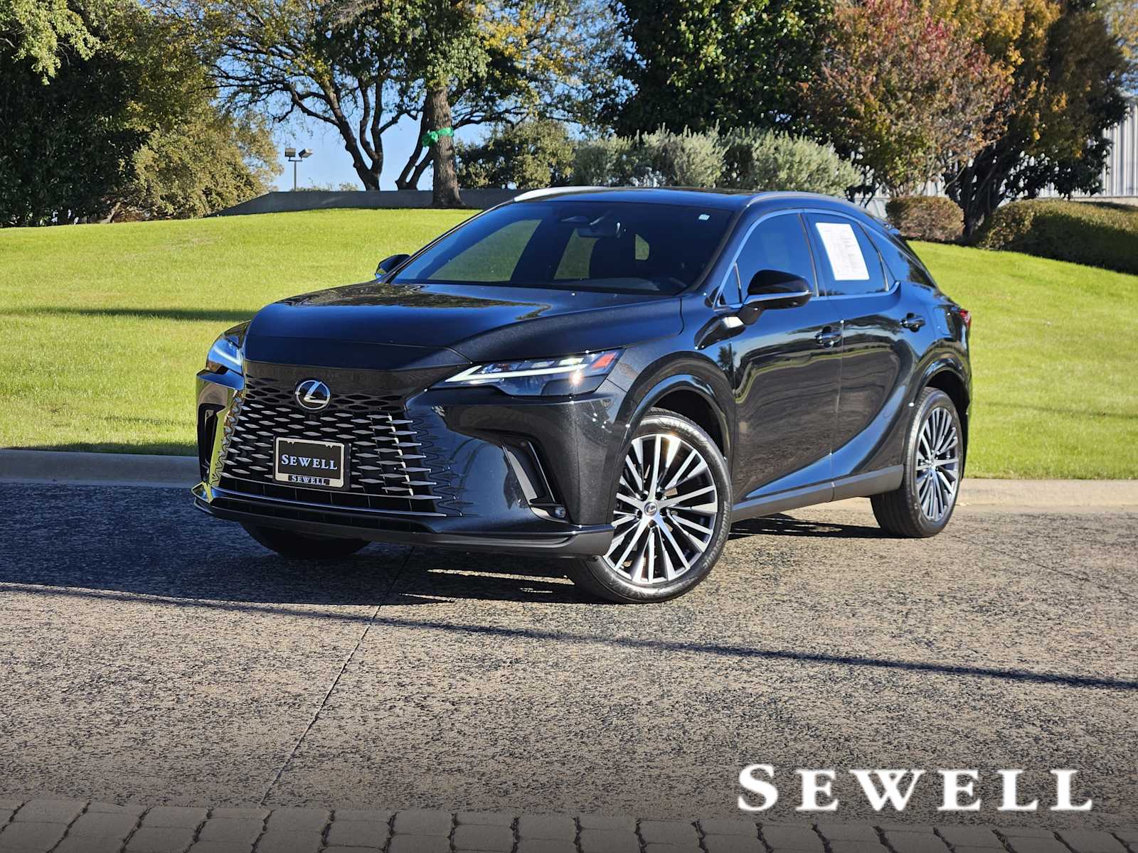 2023 Lexus RX 350's photo