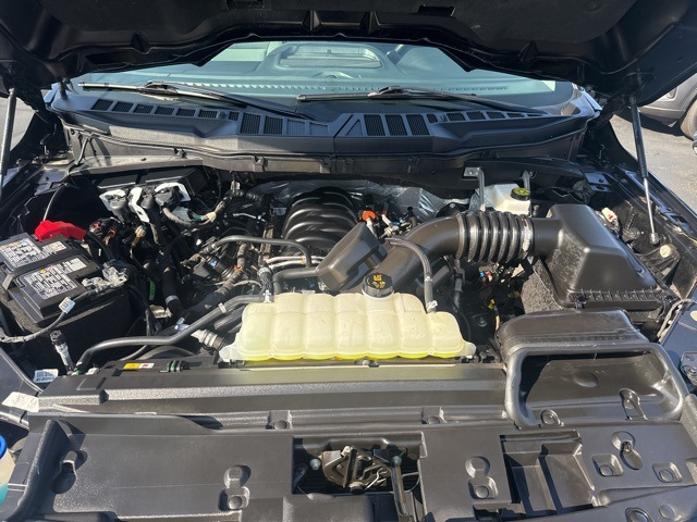 2025 Ford F-150 XLT photo 25