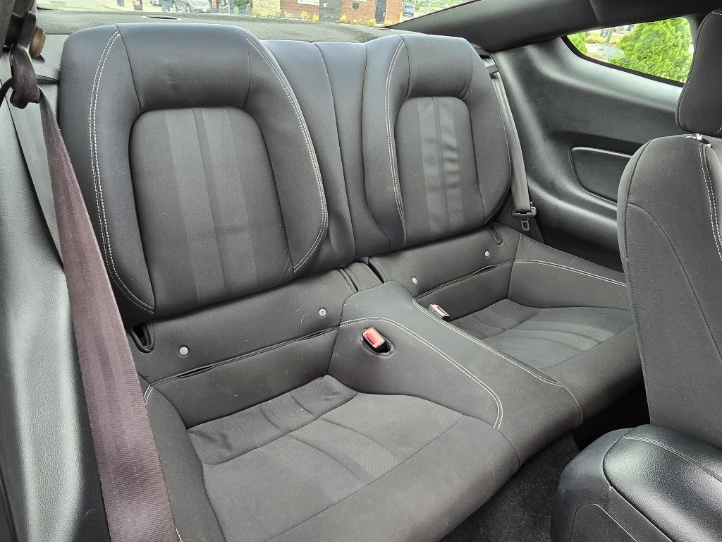 2019 Ford Mustang EcoBoost photo 12