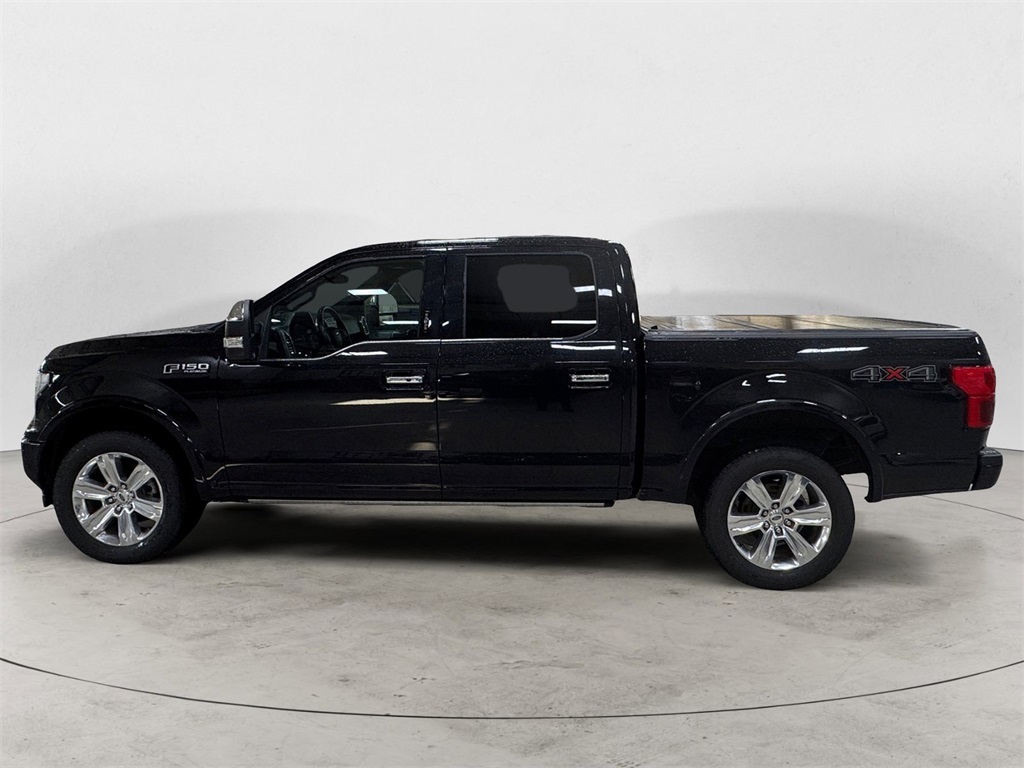 2019 Ford F-150 Platinum photo 2
