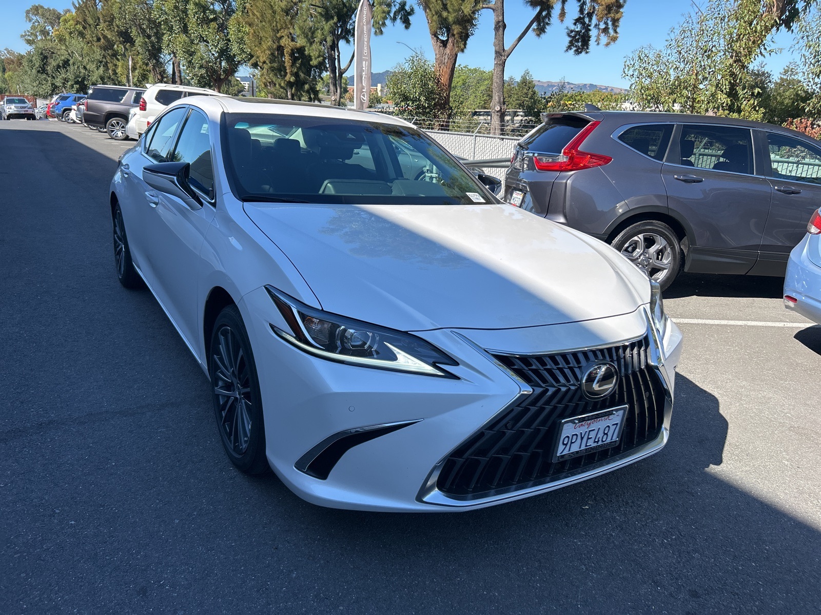 2025 Lexus ES 300h photo 2