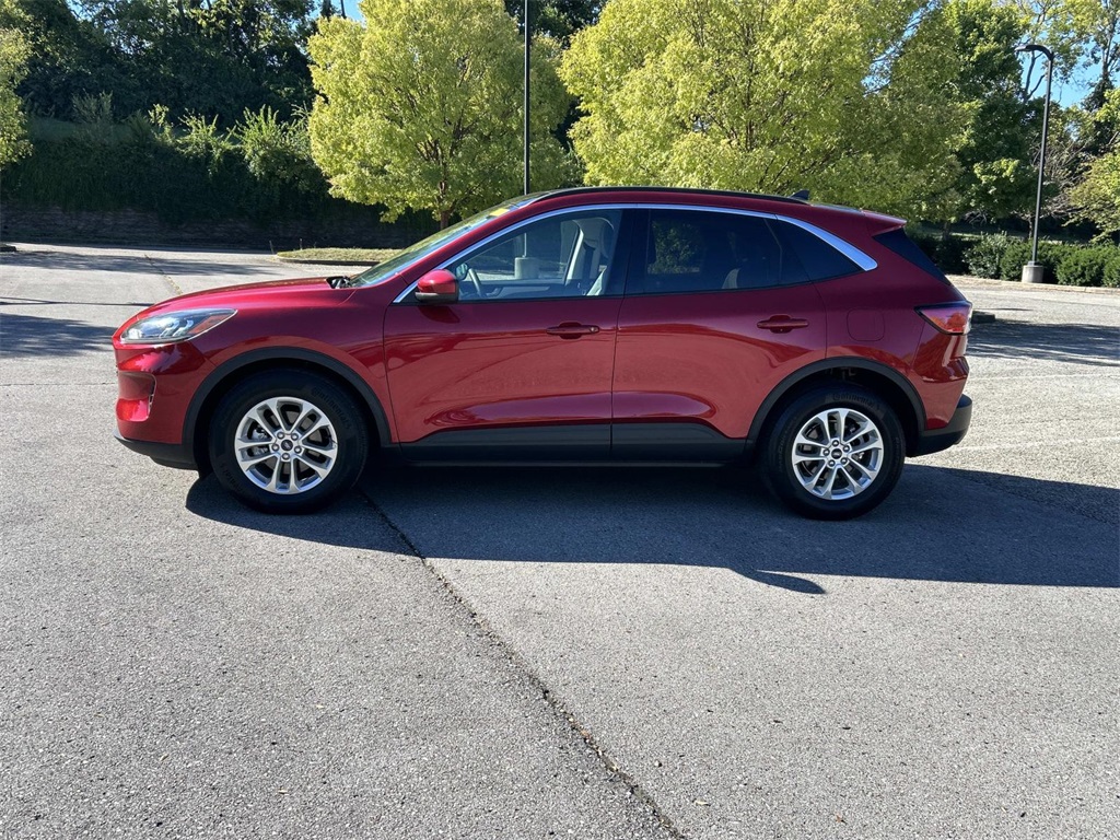 2021 Ford Escape SE Hybrid photo 4