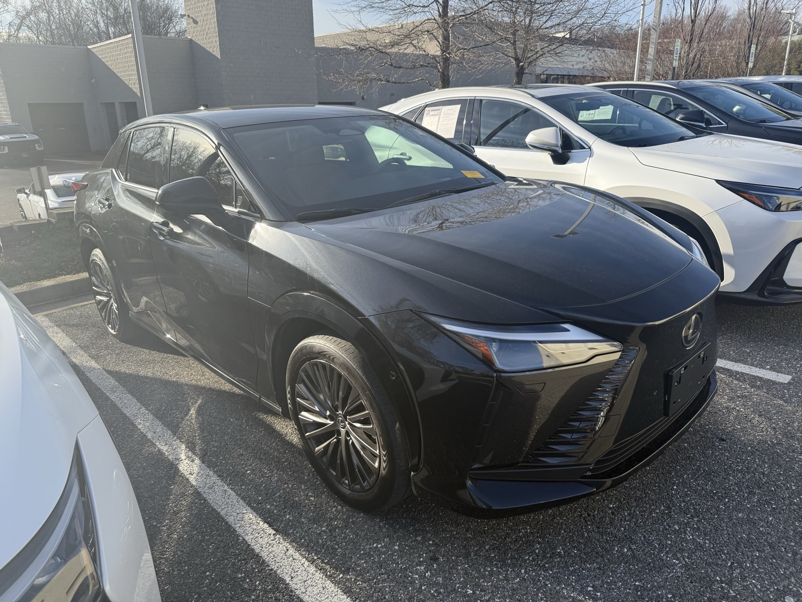 2023 Lexus RZ Luxury's photo