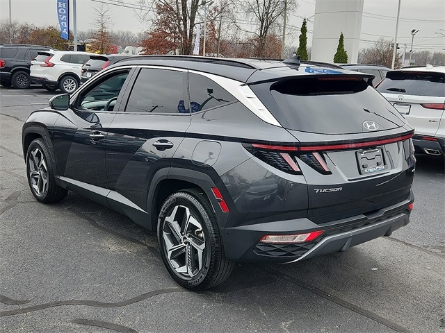 2024 Hyundai Tucson Limited photo 4