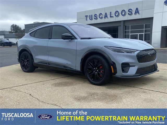 2025 Ford Mustang Mach-E Premium RWD's photo