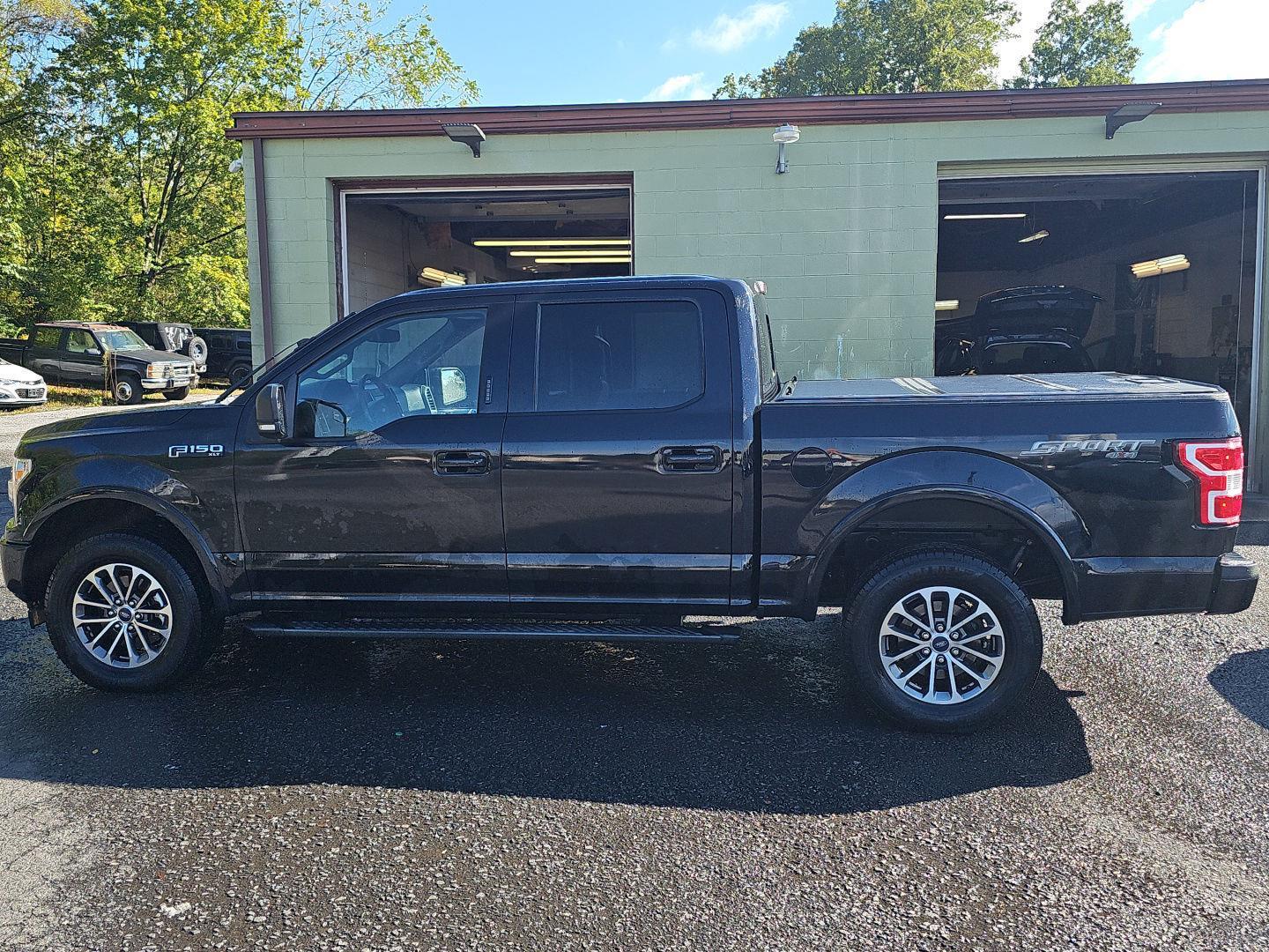 2019 Ford F-150 XLT photo 7