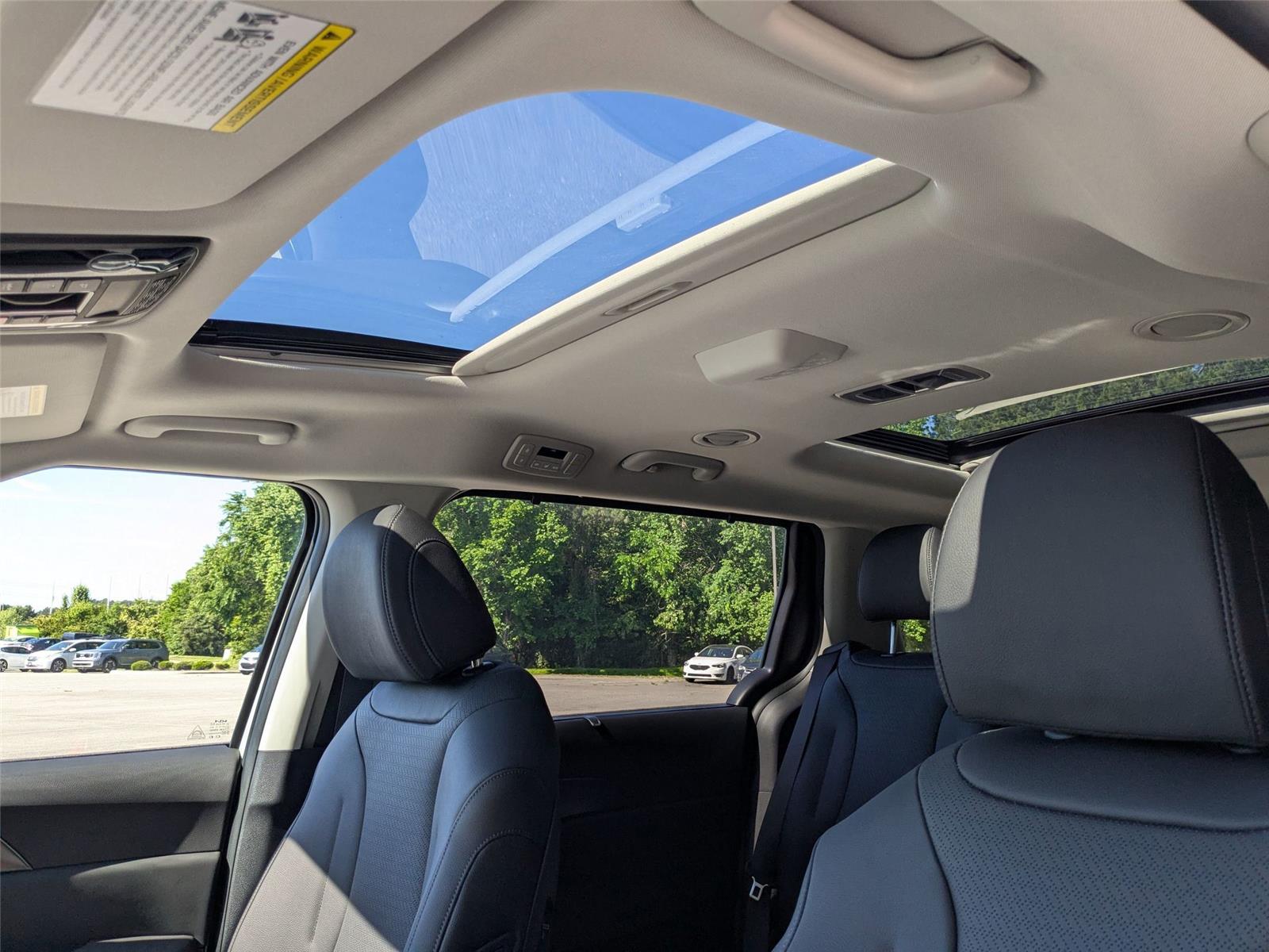 2025 Kia Carnival SX Prestige photo 16