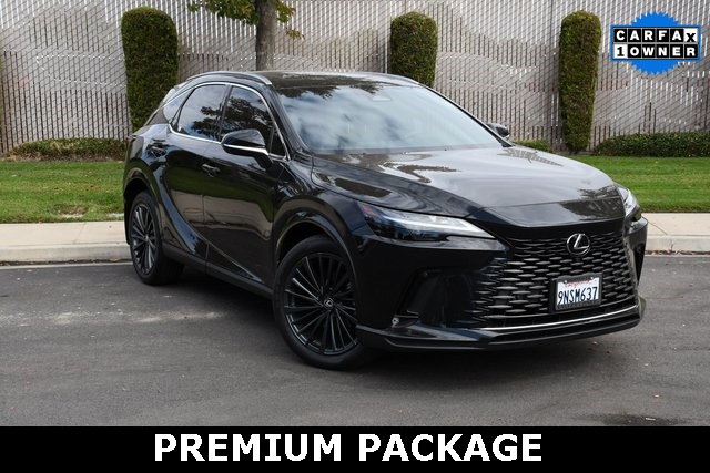 2024 Lexus RX 350's photo