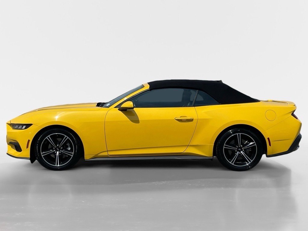 2024 Ford Mustang EcoBoost Premium photo 2