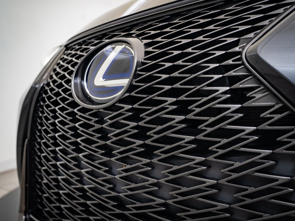 2019 Lexus UX 250h F SPORT photo 3