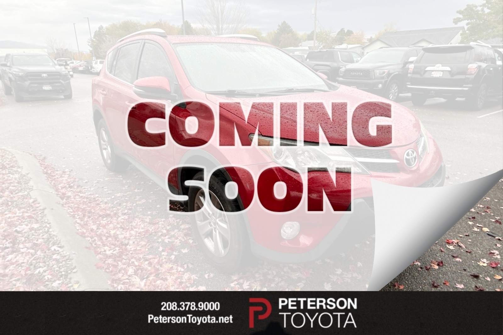 2015 Toyota RAV4 XLE