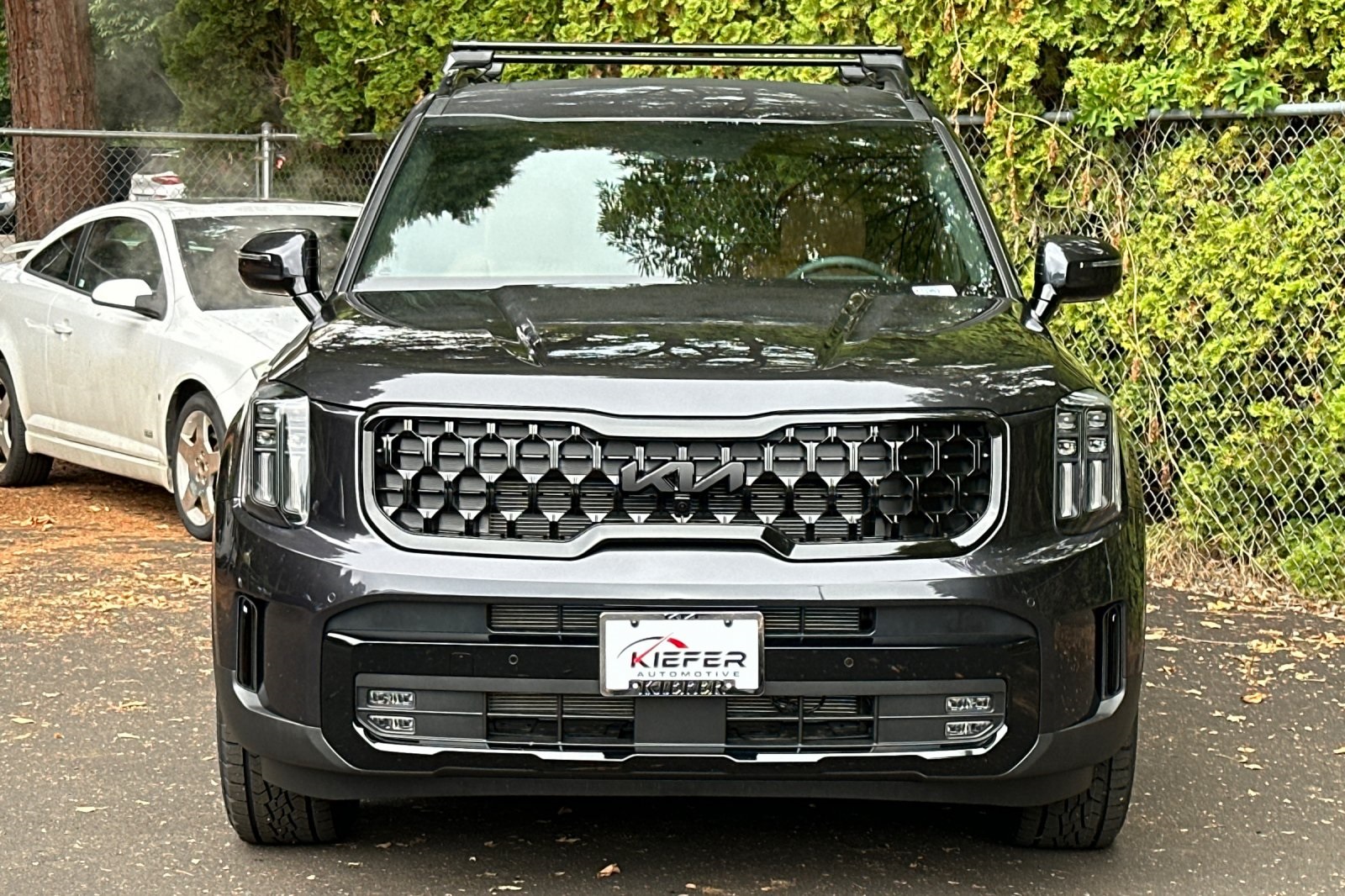 2025 Kia Telluride SX Prestige X-Pro photo 3