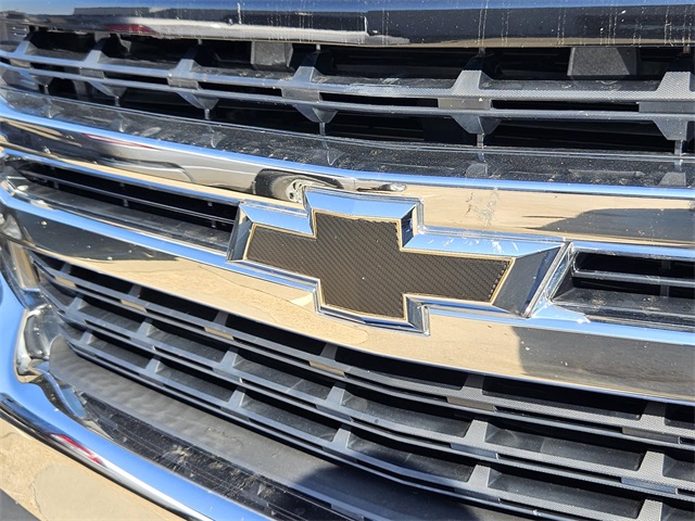 2020 Chevrolet Silverado 1500 LT Texas Edition photo 2