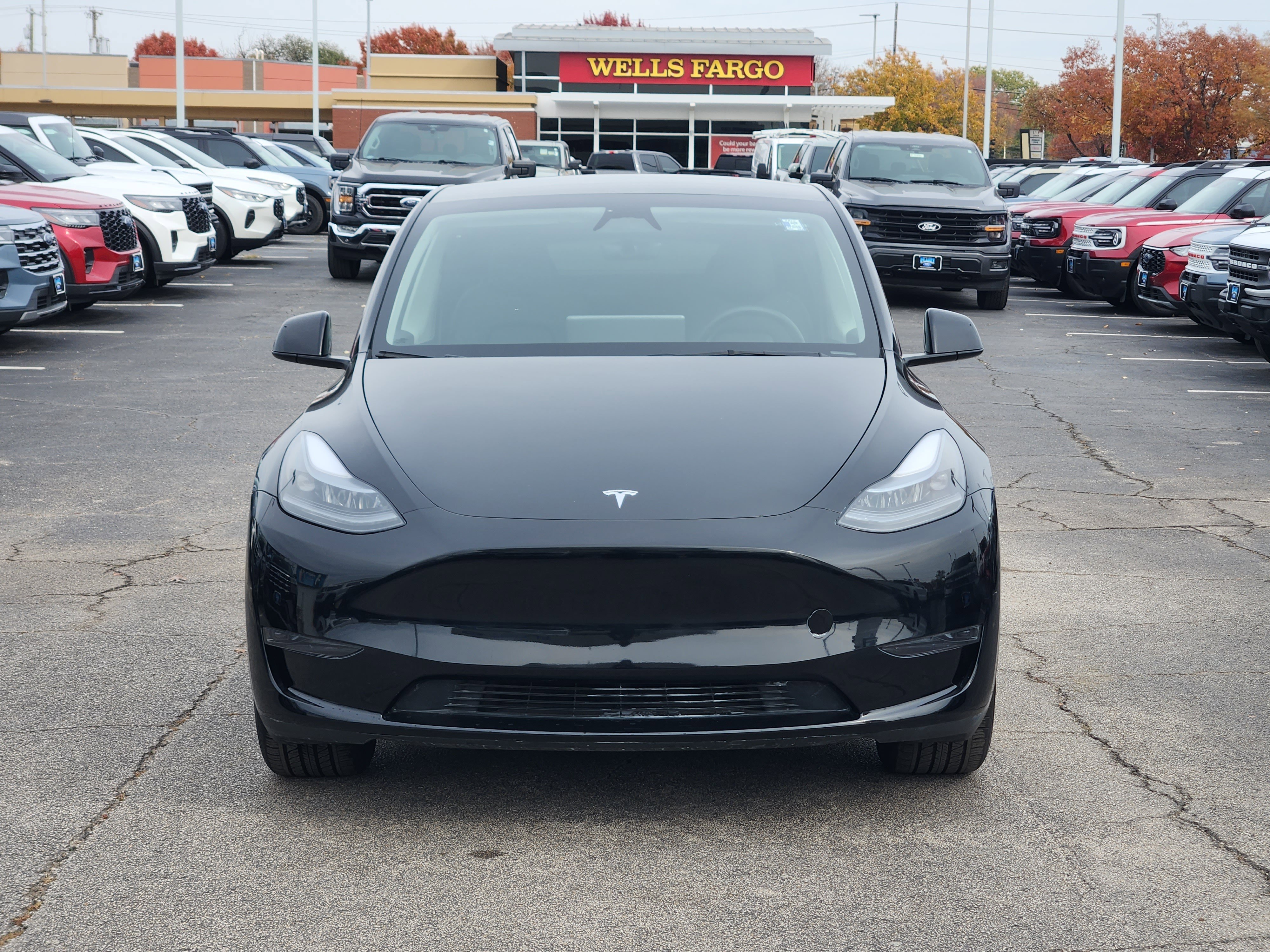 Used 2024 Tesla Model Y Long Range with VIN 7SAYGDED5RF201086 for sale in Northfield, Minnesota