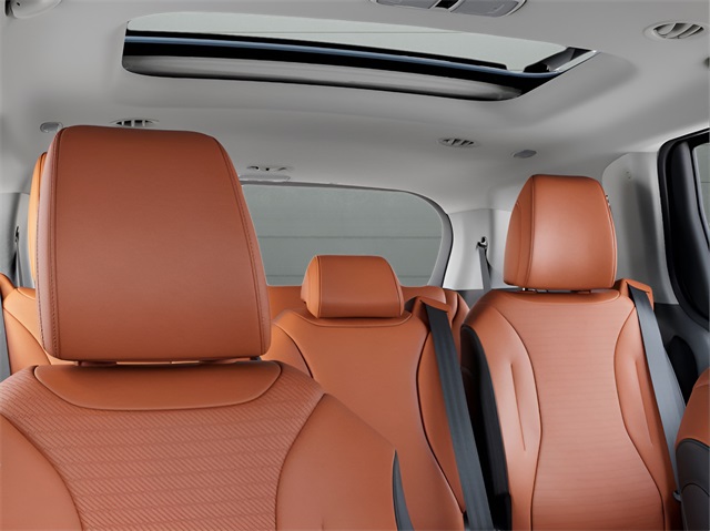 2026 Kia Carnival SX Prestige photo 14