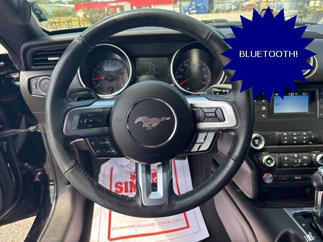 2020 Ford Mustang EcoBoost photo 12