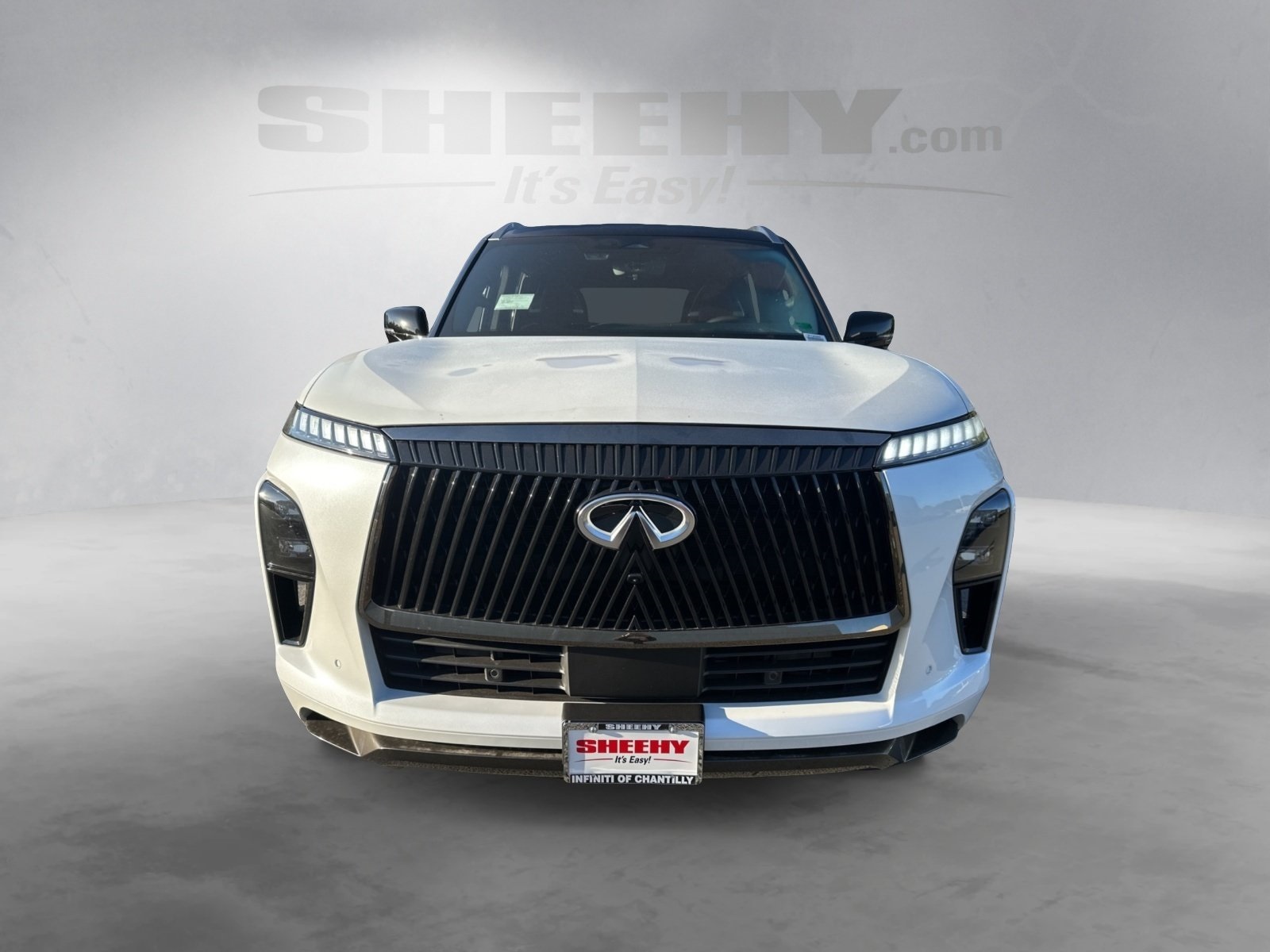 2026 Infiniti QX80 photo 3