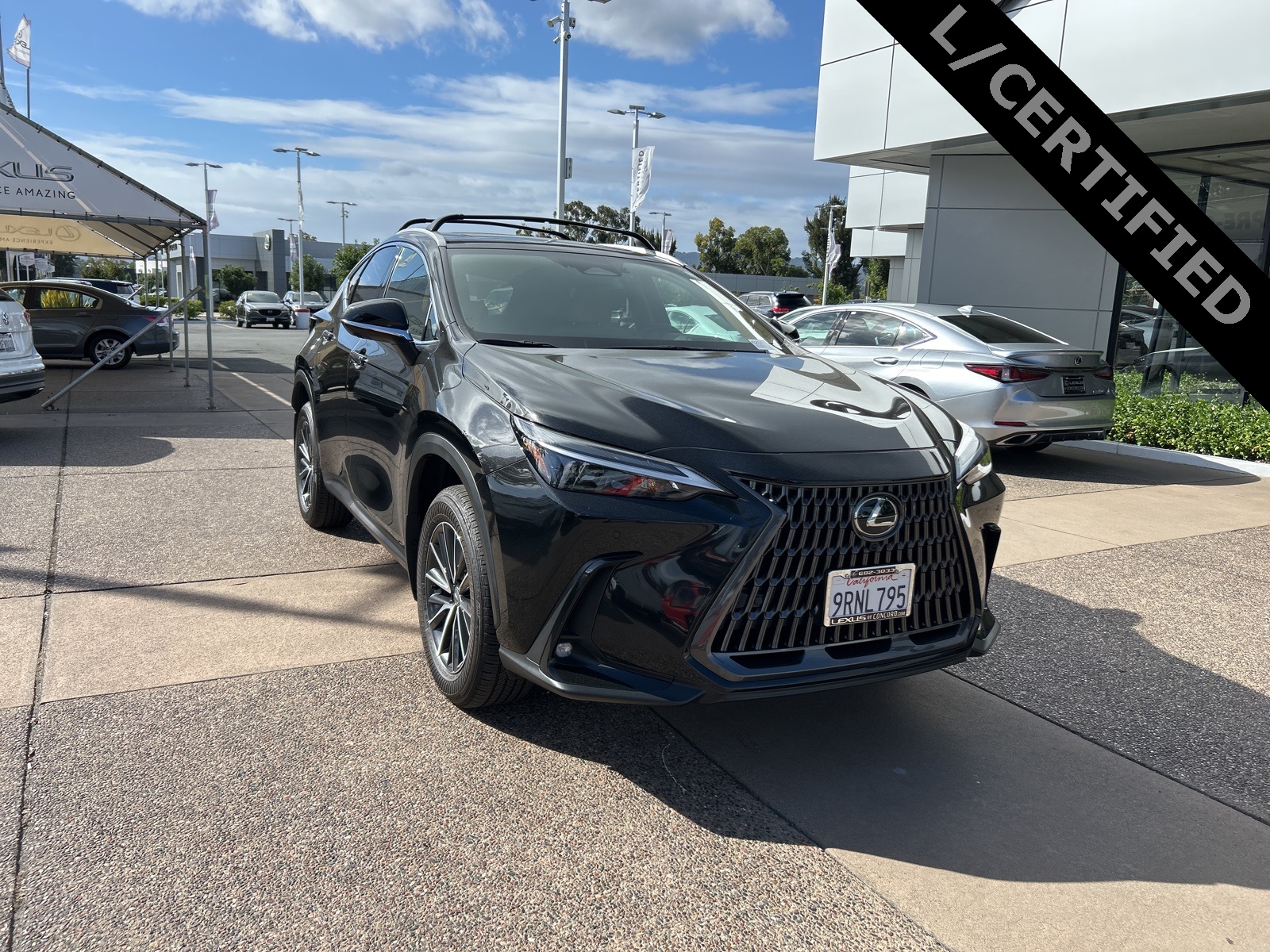 2025 Lexus NX Hybrid 350h's photo