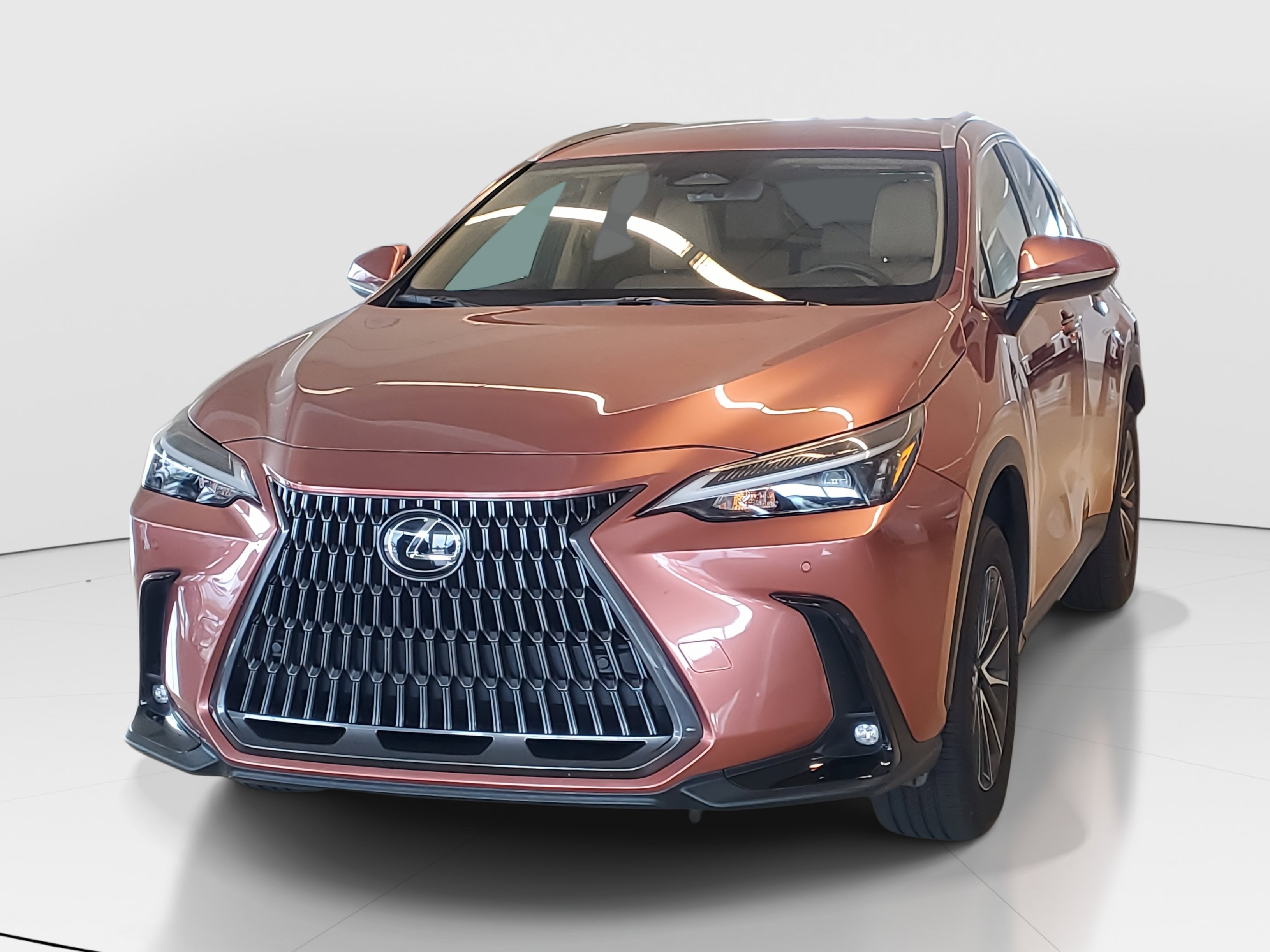 2025 Lexus NX 250 photo 5