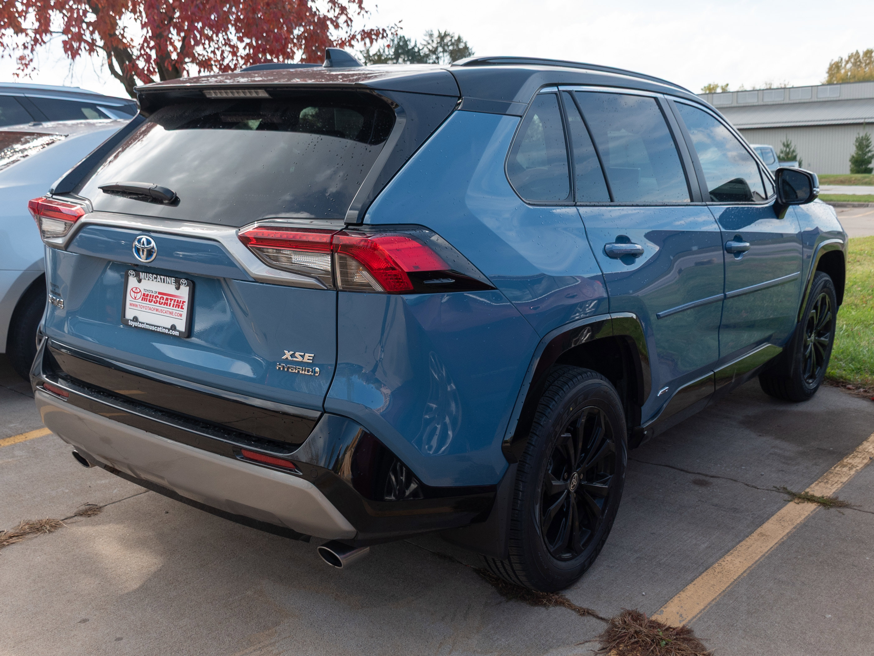 2022 Toyota RAV4 Hybrid XSE photo 3