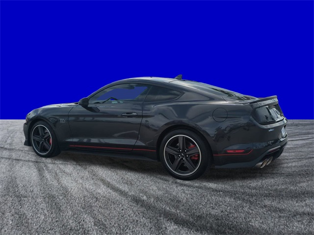 2022 Ford Mustang Mach 1 photo 6