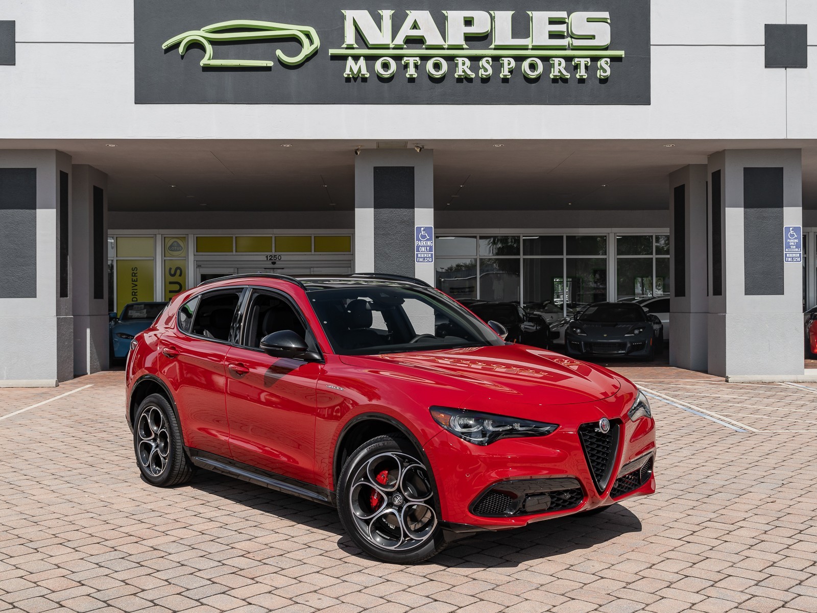 2024 Alfa Romeo Stelvio photo 14