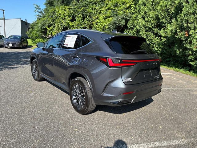 2022 Lexus NX 350h Luxury photo 7