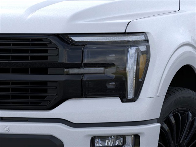 2025 Ford F-150 Platinum photo 16
