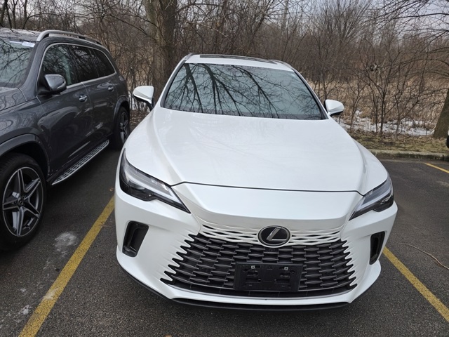 2025 Lexus RX Hybrid 350h's photo