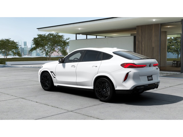 2025 Bmw X6 M50i photo 2