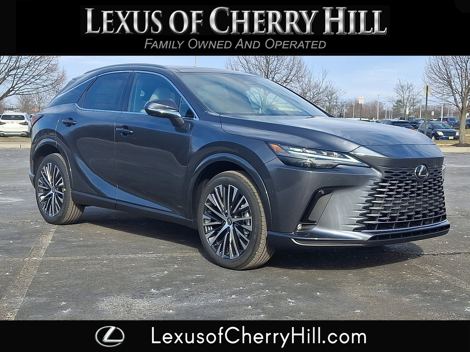 2026 Lexus RX Hybrid 350h's photo