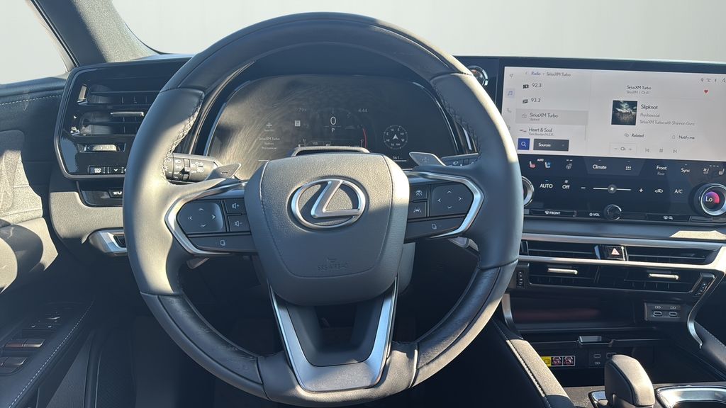 2025 Lexus RX 350 Luxury photo 12