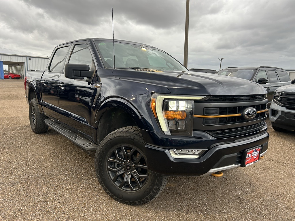 2023 Ford F-150 Tremor's photo