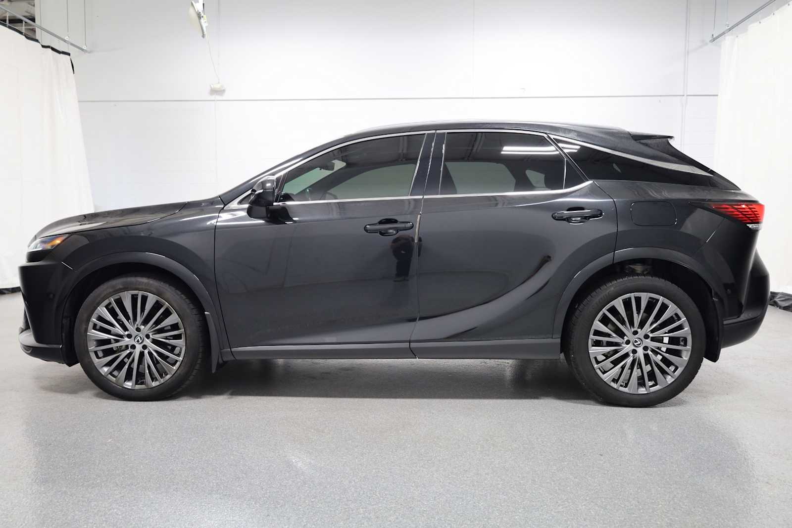 2024 Lexus RX Luxury photo 2